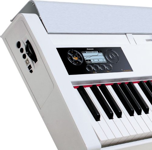 Amazon.com: Studiologic NUMA 88 鍵錘動作鍵盤控制器,白色: 樂器